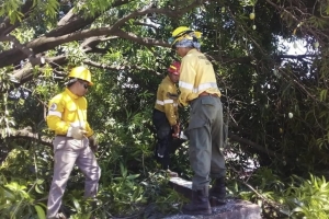 Despliegue de la Brigada de Incendios Forestales para asistir a la poblaci&oacute;n