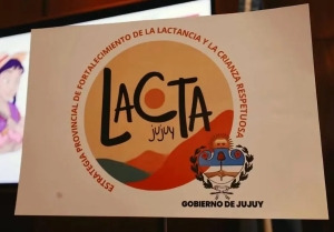 Jujuy realiza el 2° Congreso Interprovincial de Lactancias