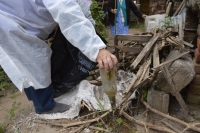 Medidas preventivas para evitar la propagaci&oacute;n del dengue