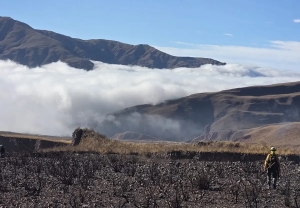 Volc&aacute;n: extinguieron el incendio de vegetaci&oacute;n tras un amplio operativo interinstitucional