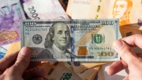 &iquest;D&oacute;lar o plazo fijo?: qu&eacute; inversi&oacute;n rindi&oacute; m&aacute;s en 2024 y qu&eacute; se espera para el 2025