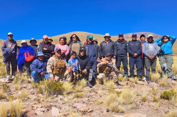 Se refuerzan las acciones contra la caza furtiva de vicu&ntilde;as