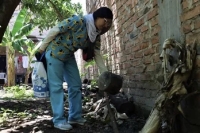 Se notific&oacute; un fallecimiento con diagn&oacute;stico de dengue probable