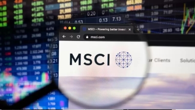 Mercados emergentes: el segundo semestre ser&aacute; m&aacute;s favorable para la Argentina