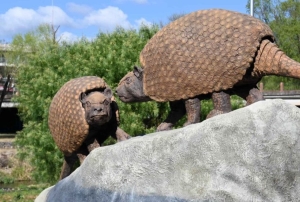 Presentaron esculturas de gliptodontes que habitaron el Xibi Xibi hace 6,3 millones de años