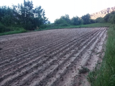 Relevaron la situaci&oacute;n de los productores afectados por temporal