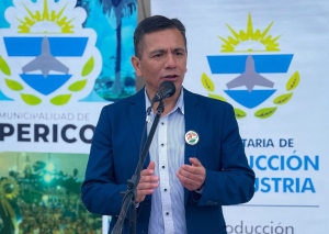Fuerte apuesta de Antofagasta a la producci&oacute;n juje&ntilde;a