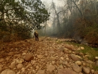 Se complica el incendio en el Parque Nacional Calilegua