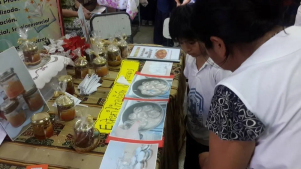 Confirman fechas para la Feria Provincial de Arte