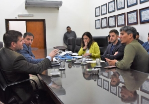 Diputados analizó proyecto ciudadano sobre el servicio eléctrico