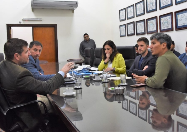 Diputados analiz&oacute; proyecto ciudadano sobre el servicio el&eacute;ctrico