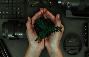 Inscripciones abiertas para el Workshop: Incubadora de Eco-producciones