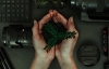 Inscripciones abiertas para el Workshop: Incubadora de Eco-producciones