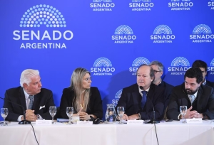 El Gobierno busca blindar el Súper RIGI: el secretario de Hacienda irá al Senado por pedido de la oposición