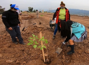 "Land art " por parte de estudiantes en ciudad cultural