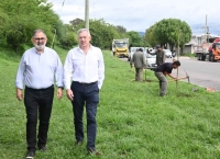 Municipio impulsa programa de arborizaci&oacute;n masiva en toda la ciudad