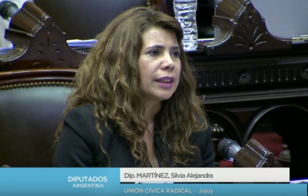 &ldquo;&iquest;A QU&Eacute; FUE ALBERTO FERN&Aacute;NDEZ A M&Eacute;XICO ANTES DE LA RENUNCIA DE EVO MORALES?&rdquo;