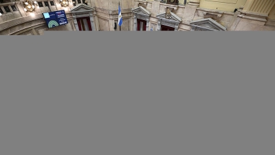 El Senado convirti&oacute; en ley el Aporte Solidario y Extraordinario
