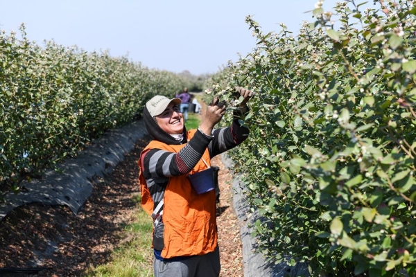 RENATRE.Prestaci&oacute;n por desempleo del 5 al 19