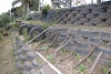 Primera huerta vertical con material reciclable