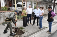 Campa&ntilde;a de arborizaci&oacute;n para mejorar el entorno urbano