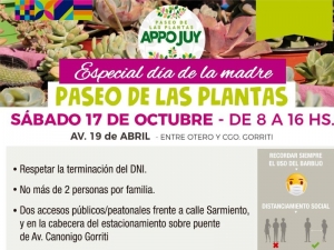 Propuestas municipales por D&iacute;a de la Madre