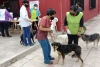 Contin&uacute;a la campa&ntilde;a de Vacunaci&oacute;n Antirr&aacute;bica en San Salvador de Jujuy