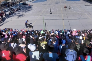 Jornada canina en la Colonia Municipal del Parque San Mart&iacute;n