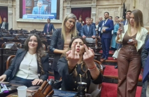 Ultraviolencia libertaria en Diputados: Zago a las pi&ntilde;as en el recinto y Lemoine lig&oacute; un vaso de agua