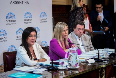 El senado trat&oacute; proyecto de intervenci&oacute;n y se dilat&oacute; una definici&oacute;n