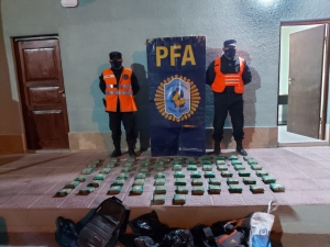 La Federal secuestr&oacute; en La Quiaca 60 kg de hojas de coca