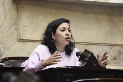 Leila Chaher repudi&oacute; el cierre de T&eacute;lam