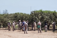 Renatre finaliz&oacute; con &eacute;xito ciclo de capacitacionessobre Buenas Pr&aacute;cticas Agr&iacute;colas para el sector citr&iacute;cola