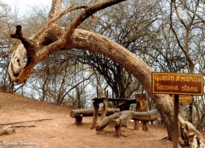 Reapertura de senderos en el Parque Bot&aacute;nico Municipal