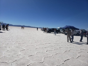 Multas contravencionales por fiesta clandestina en las Salinas