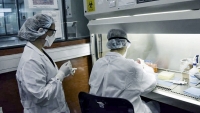Coronavirus: suman 785 las muertes y hay 28.764 contagios en el pa&iacute;s