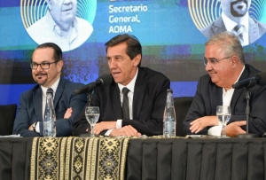 inversiones en infraestructura para aprovechar el desarrollo del litio