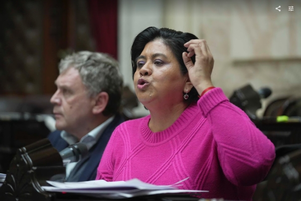 Sarapura: &ldquo;ni obsecuentes ni obstructores: dem&oacute;cratas&rdquo;