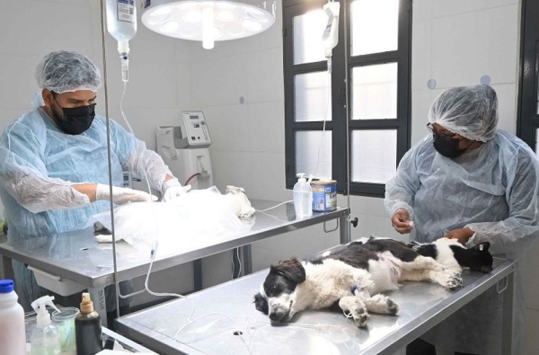 Zoonosis acerca el quir&oacute;fano externo a distintos barrios