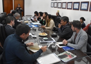 Diputados analizó proyecto de Ley de Emergencia Habitacional