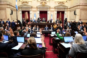 El Senado aprobó la ley de propiedad privada, pero el Gobierno debió ceder en la reforma del Fuego