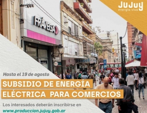 Subsidiaran tarifa electrica a comercios de Jujuy