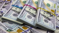 Corrida: el d&oacute;lar blue se dispar&oacute; a $317