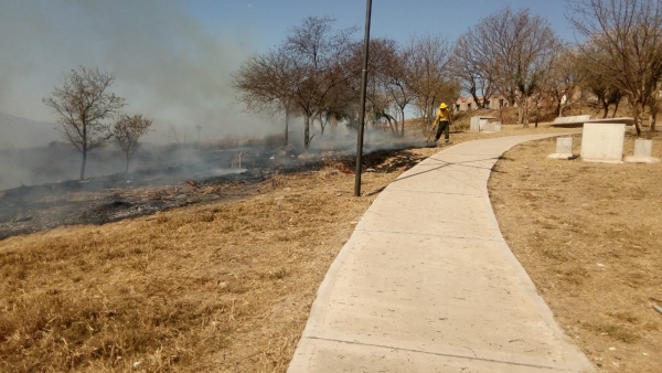 Preocupan incendios en Parque Belgrano