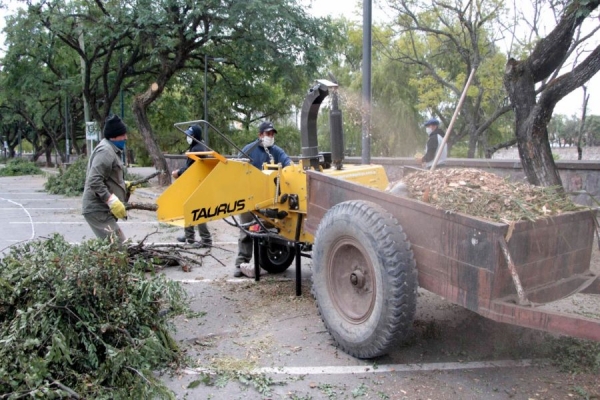 Se inici&oacute; la temporada de poda