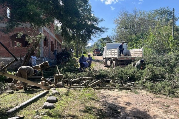 Temporral en Jujuy. Amplio operativo municipal ante ca&iacute;da de &aacute;rboles