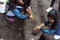 Taller de huertas en la escuela primaria "Macedonio Graz"