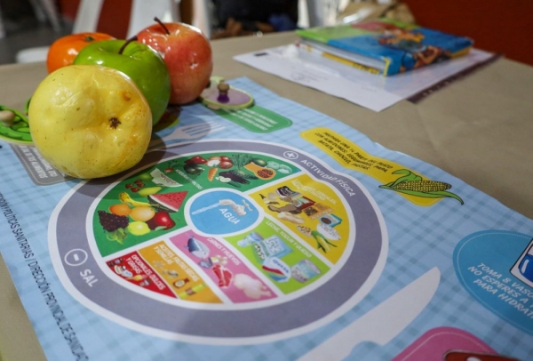 Elegir alimentos saludables y sumar h&aacute;bitos