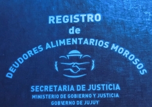 Registro de Deudores Alimentarios reanuda su atenci&oacute;n presencial