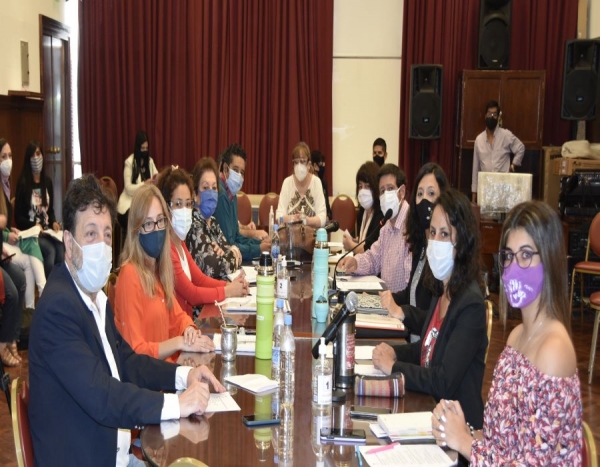 "Colectivos" participan en el tratamiento del proyecto de ley sobre violencia de g&eacute;nero